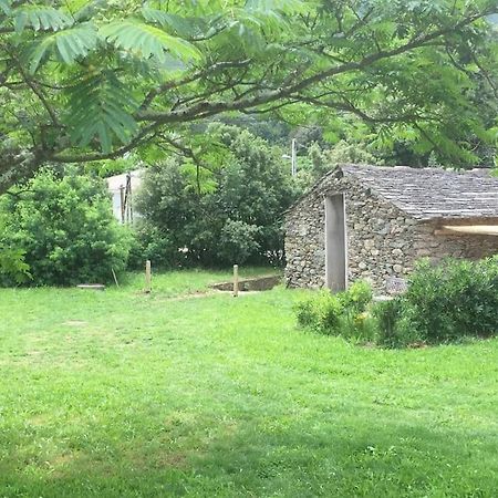 Villa Olivetu Sisco Exterior foto