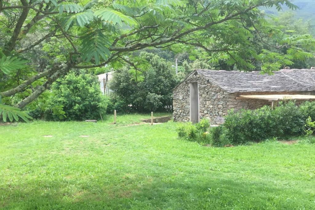 Villa Olivetu Sisco Exterior foto